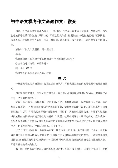初中语文模考作文命题作文：微光