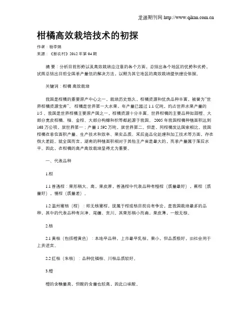 柑橘高效栽培技术的初探