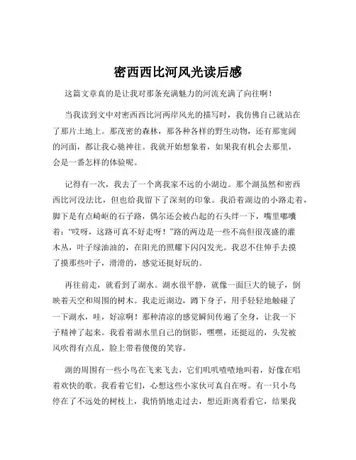 密西西比河风光读后感