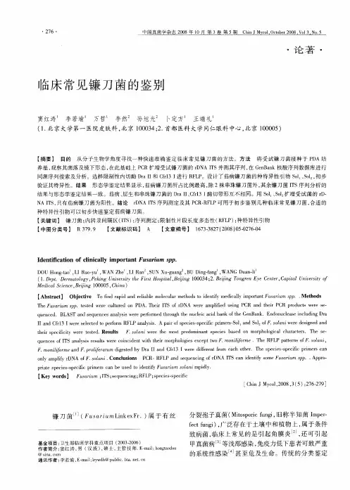 临床常见镰刀菌的鉴别