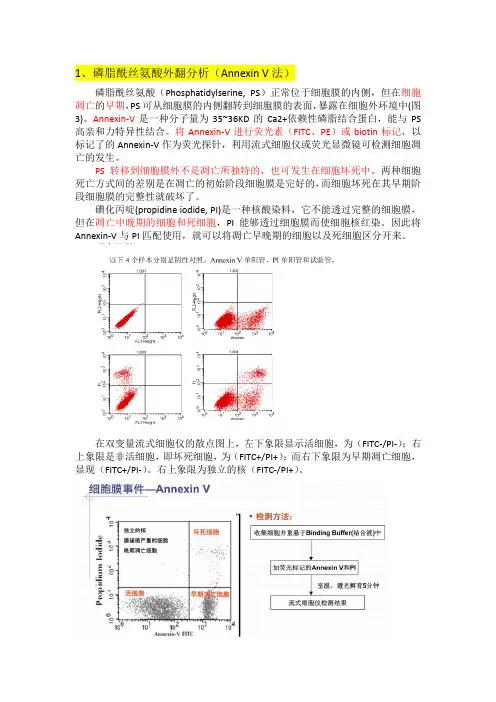 细胞凋亡检测方法总结