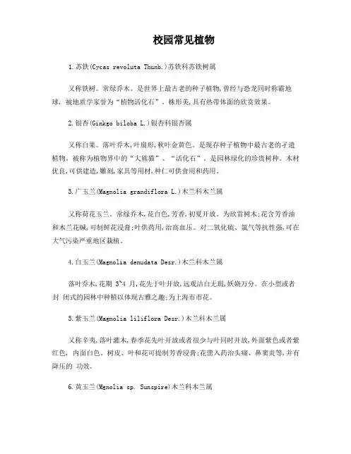 校园常见植物