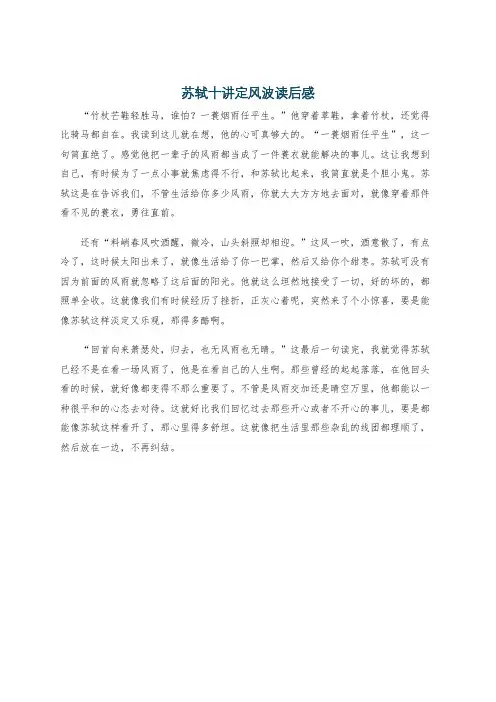 苏轼十讲定风波读后感