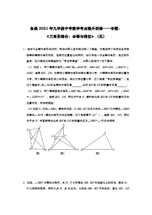 备战2021年九年级中考数学考点提升训练——专题：《三角形综合：全等与相似》(五)