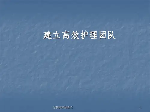 建设高效的护理团队ppt课件