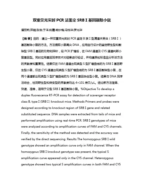 双重荧光实时PCR法鉴定SRBⅠ基因敲除小鼠
