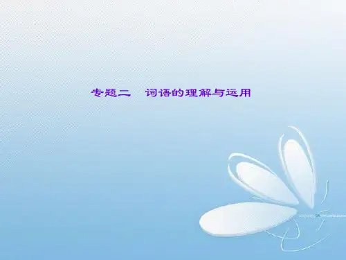 中考语文总复习第2部分积累与运用专题二词语的理解与运用课件语文版
