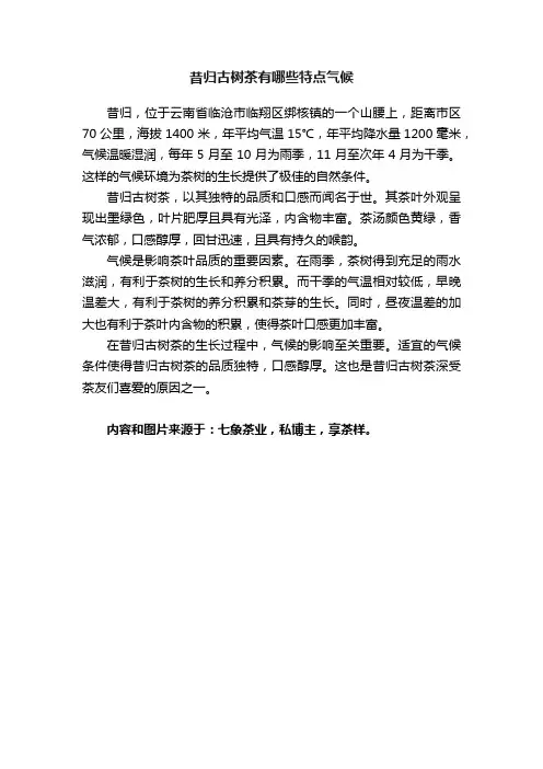 昔归古树茶有哪些特点气候