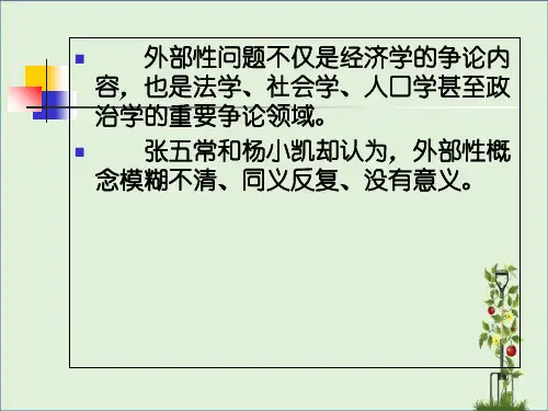 公共经济学第六章外部性矫正