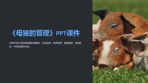 《母猪的管理》课件