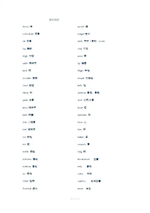 人体器官英语单词