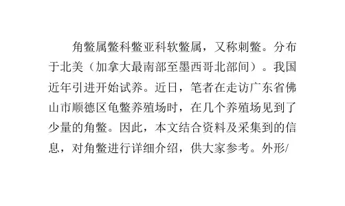 甲鱼新品种——角鳖