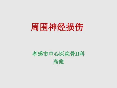 周围神经损伤(T)PPT课件