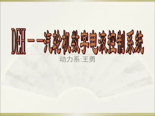 汽轮机保护系统5