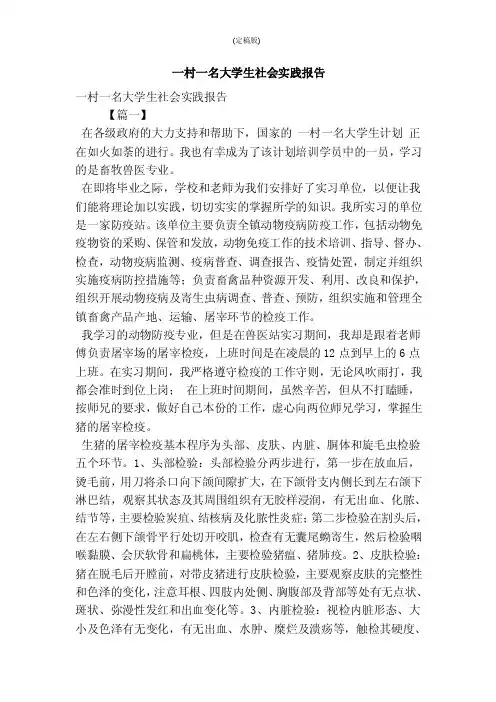 一村一名大学生社会实践报告（精简版）