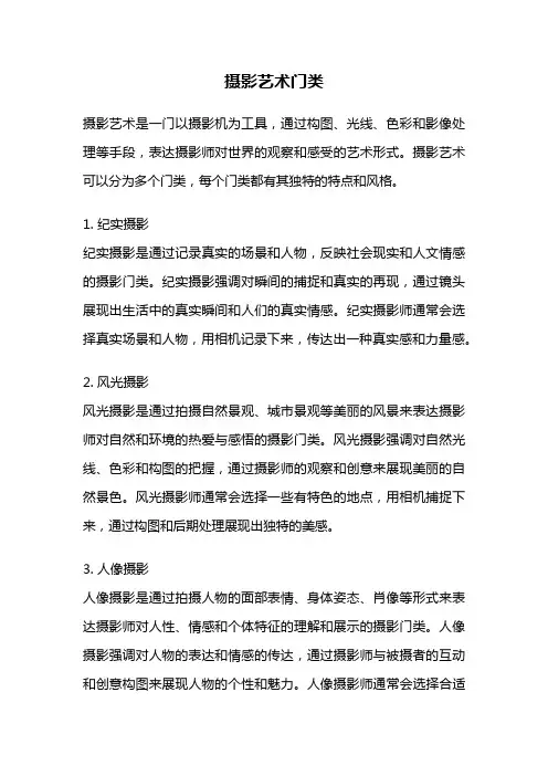摄影艺术门类
