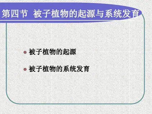 被子植物系统发育