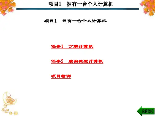 精品课件-计算机应用基础(第二版)(吴勇军)-第1章