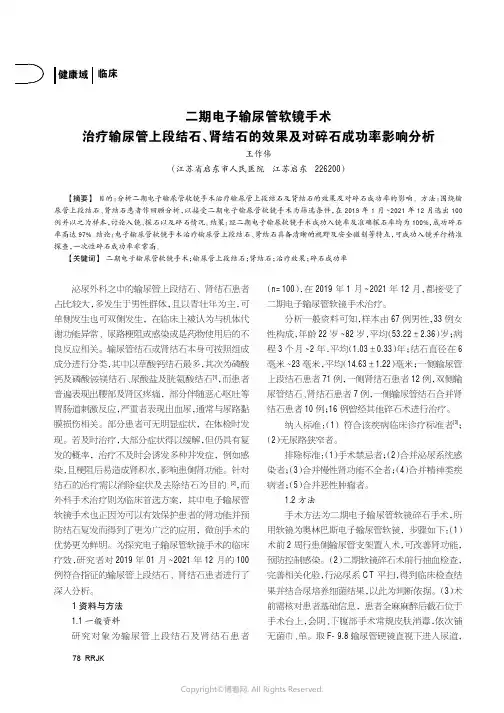 二期电子输尿管软镜手术治疗输尿管