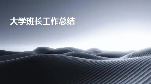 大学班长工作总结PPT