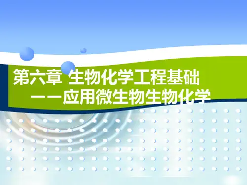 清华当代给水与废水处理原理课件第6章 生物化学工程基础——应用微生物生物化学