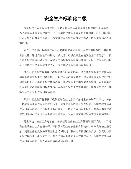安全生产标准化二级