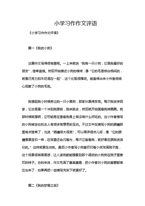 小学习作作文评语