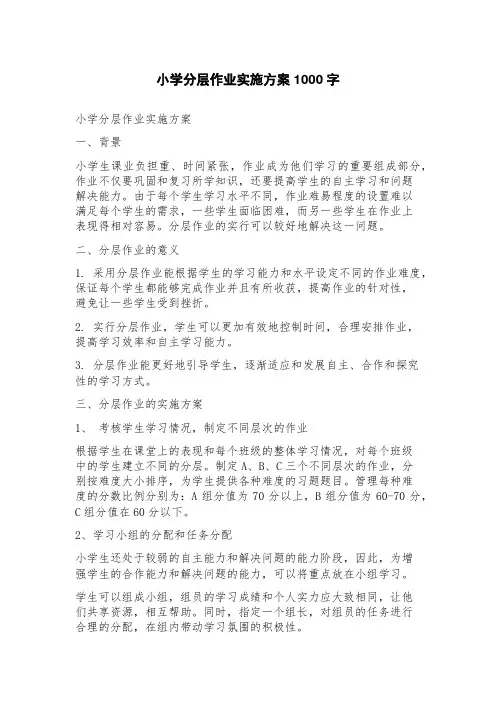小学分层作业实施方案