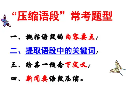 《高考语文复习压缩语段·提取关键词》