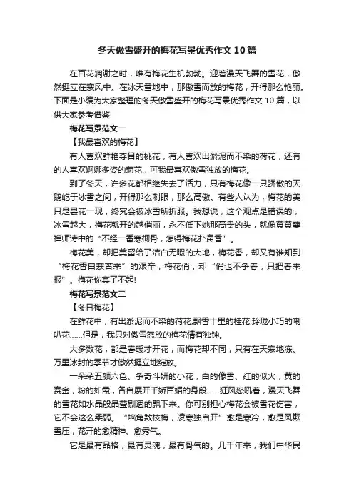 冬天傲雪盛开的梅花写景优秀作文10篇
