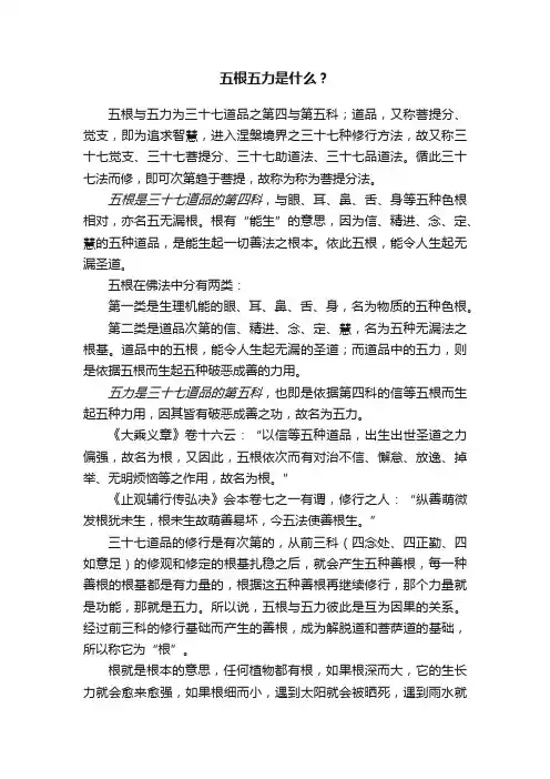 五根五力是什么？