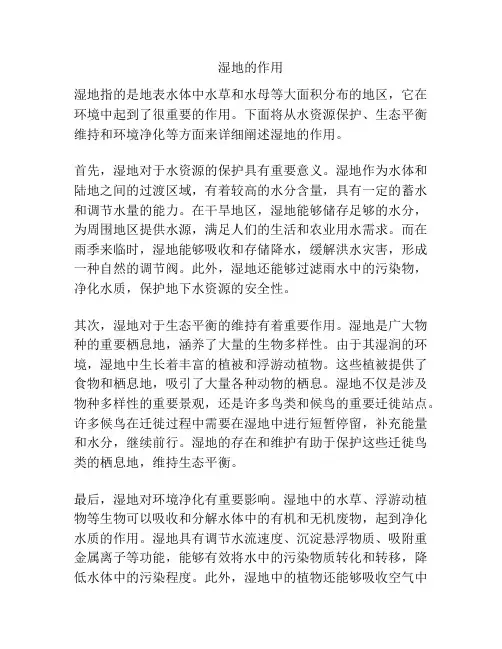 湿地的作用