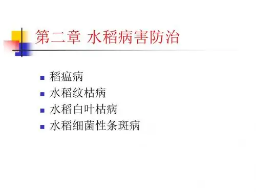 水稻常见病害及防治ppt课件