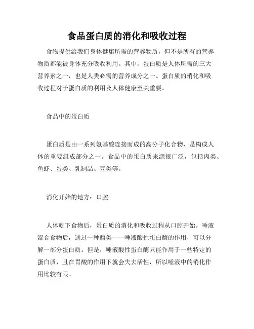食品蛋白质的消化和吸收过程