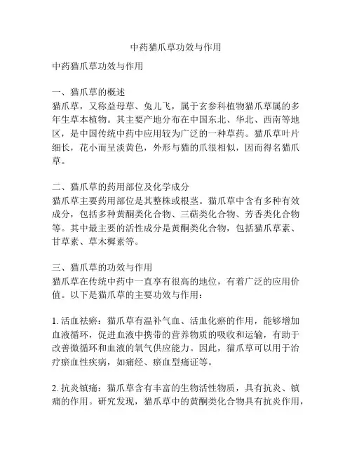 中药猫爪草功效与作用