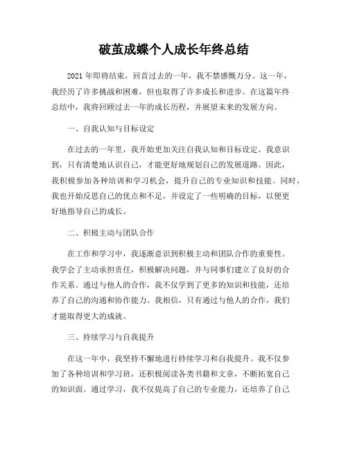 破茧成蝶个人成长年终总结
