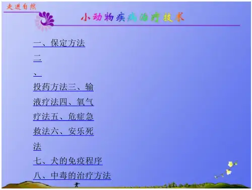 小动物疾病治疗技术课件