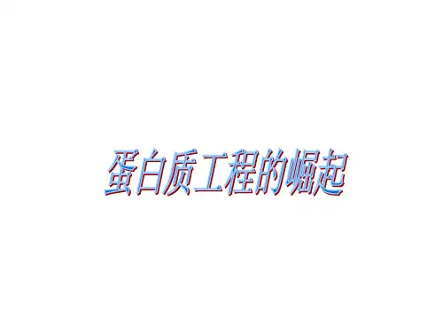 蛋白质工程的崛起课件