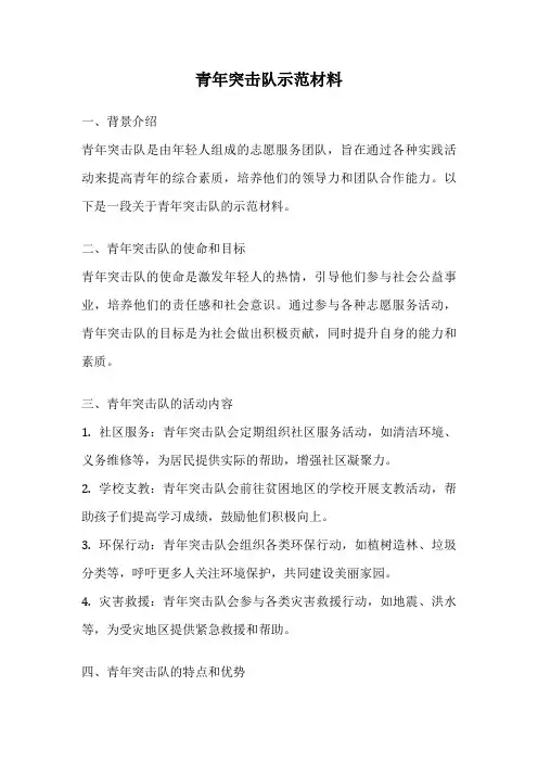 青年突击队示范材料