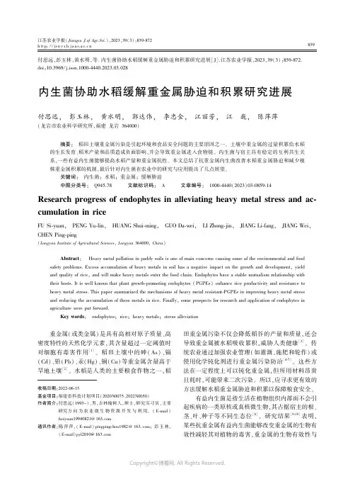 内生菌协助水稻缓解重金属胁迫和积累研究进展