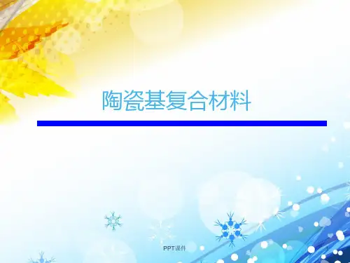 陶瓷基复合材料  ppt课件
