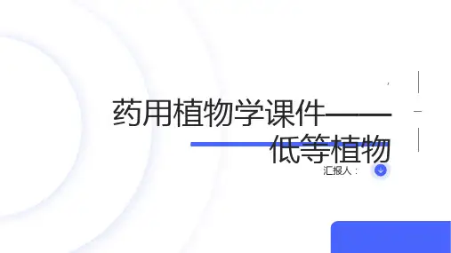 药用植物学课件——低等植物