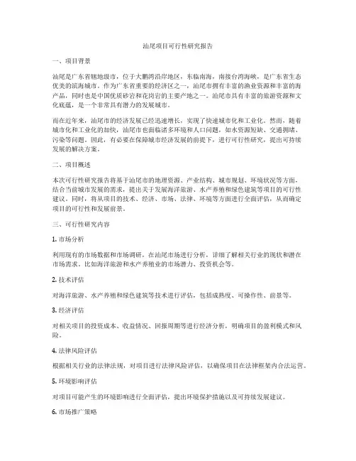 汕尾项目可行性研究报告