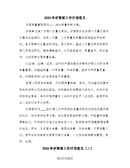 2024年护理部工作计划范文(8篇)