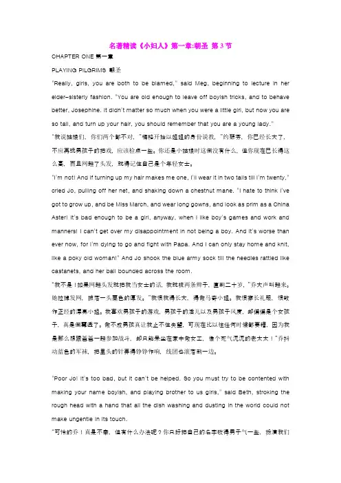 名著精读《小妇人》第一章朝圣第3节