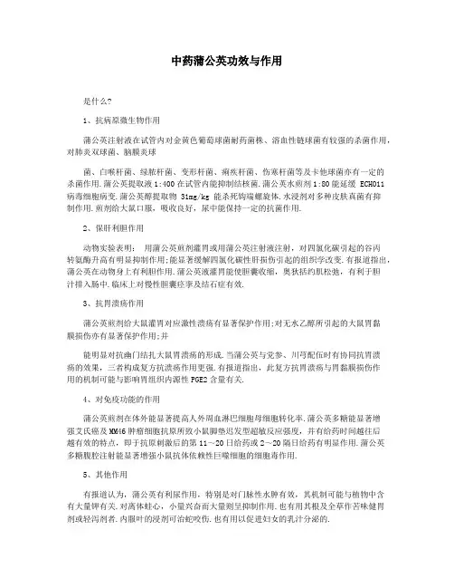中药蒲公英功效与作用