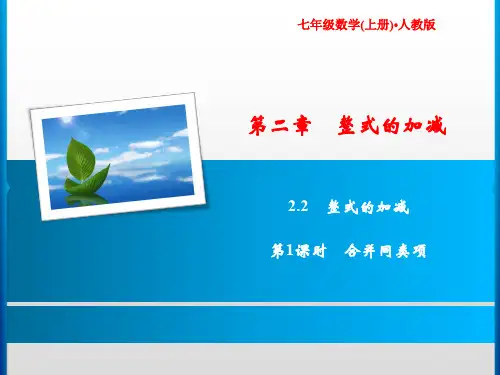 第2章  2.2  第1课时 合并同类项