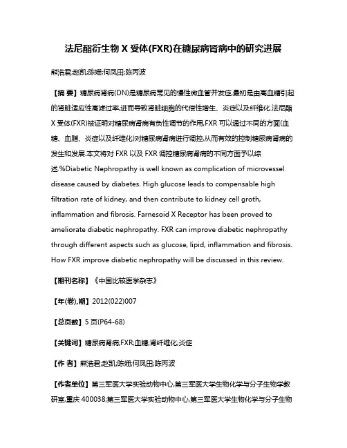 法尼酯衍生物X受体(FXR)在糖尿病肾病中的研究进展