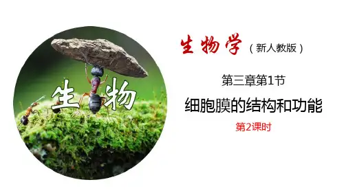 人教版高中生物必修一《细胞膜的结构和功能》细胞的基本结构PPT教学课件(第2课时)