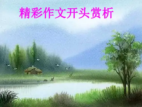 初中作文指导：精彩作文开头赏析PPT优秀课件